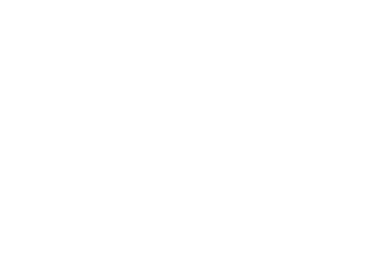 STM Tur Logo